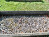 image of grave number 583326
